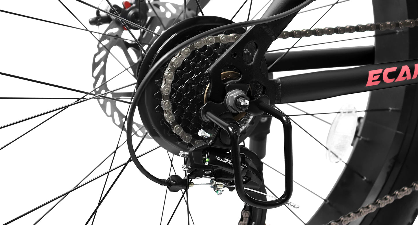 Ecarpat 26 in, 21 Speed Mountain Bike with 4-Inch-Wide Fat Tires for Men/Women