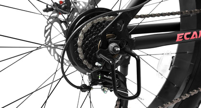 Ecarpat 26 in, 21 Speed Mountain Bike with 4-Inch-Wide Fat Tires for Men/Women